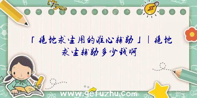 「绝地求生用的准心辅助」|绝地求生辅助多少钱啊